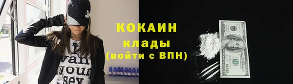 индика Куйбышев