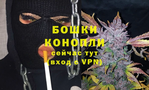 индика Куйбышев