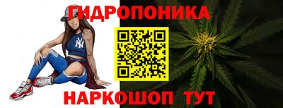 индика Аргун