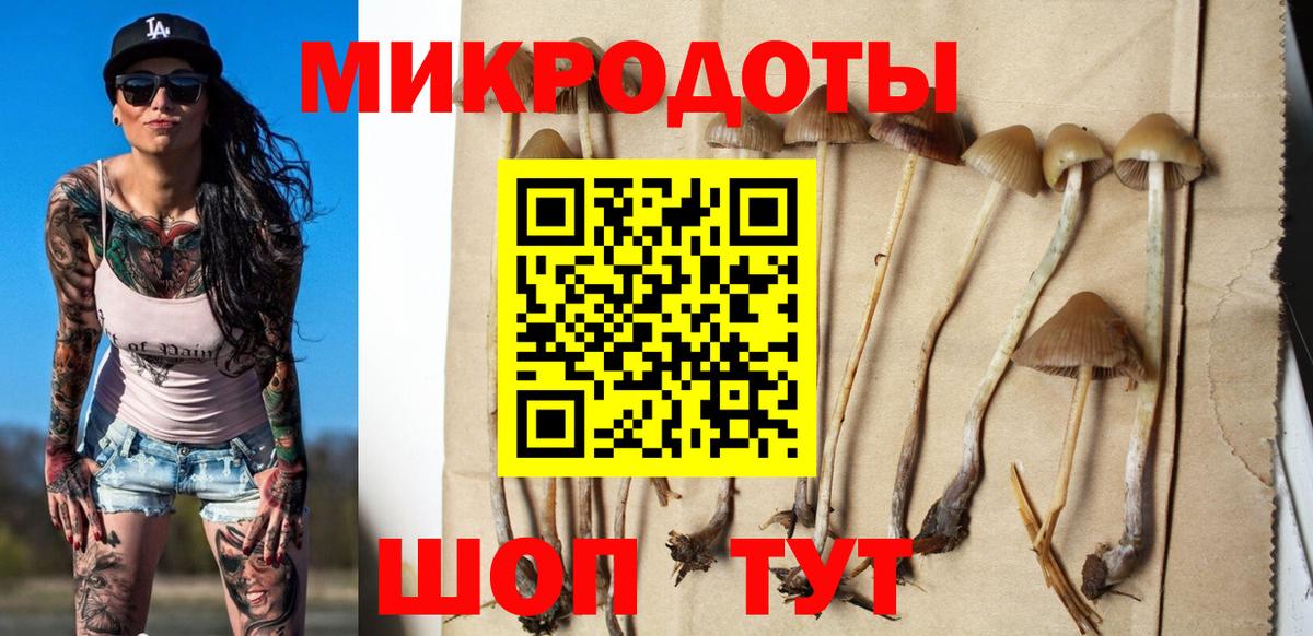 Псилоцибиновые грибы мухоморы  Вход с VPN  Южноуральск  Галлюциногенные грибы GOLDEN TEACHER 