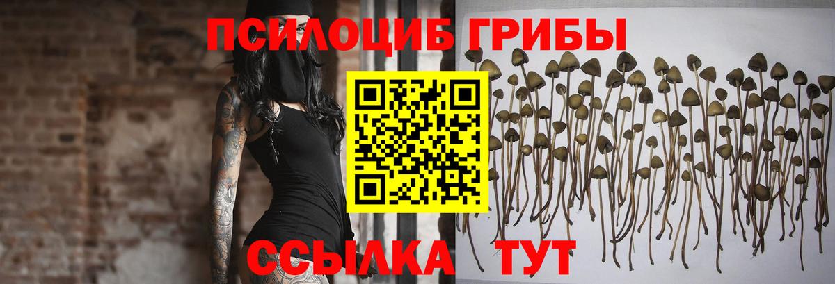Галлюциногенные грибы мицелий Южноуральск